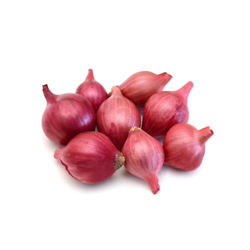 Cebolla Pequeña