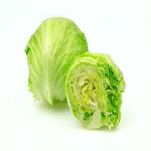Lechuga iceberg