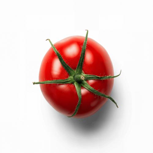 Tomate Rojo