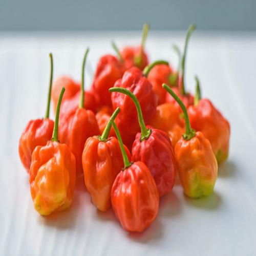 FRESH PEPPER( AFRICAN) KG