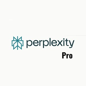 Perplexity subscription