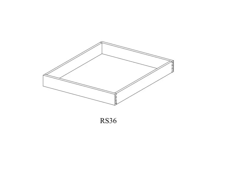 RS36