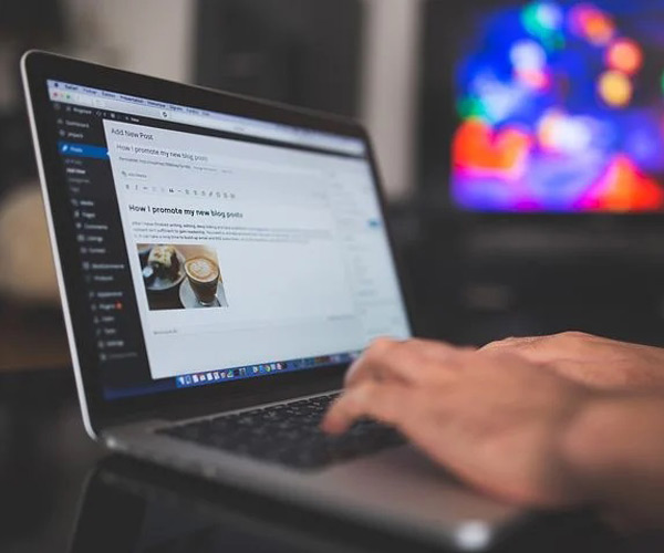 wordpress-development