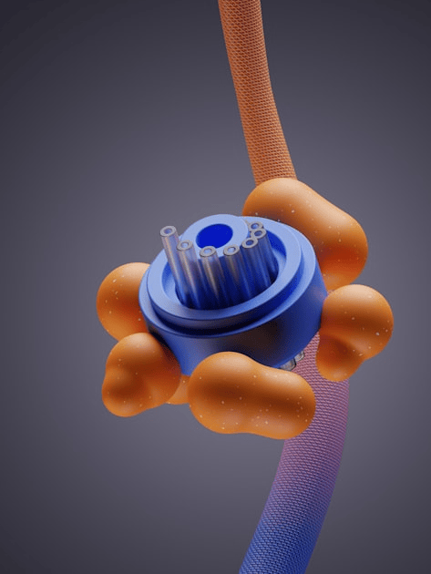 Conjugable Peptides in Drug Development