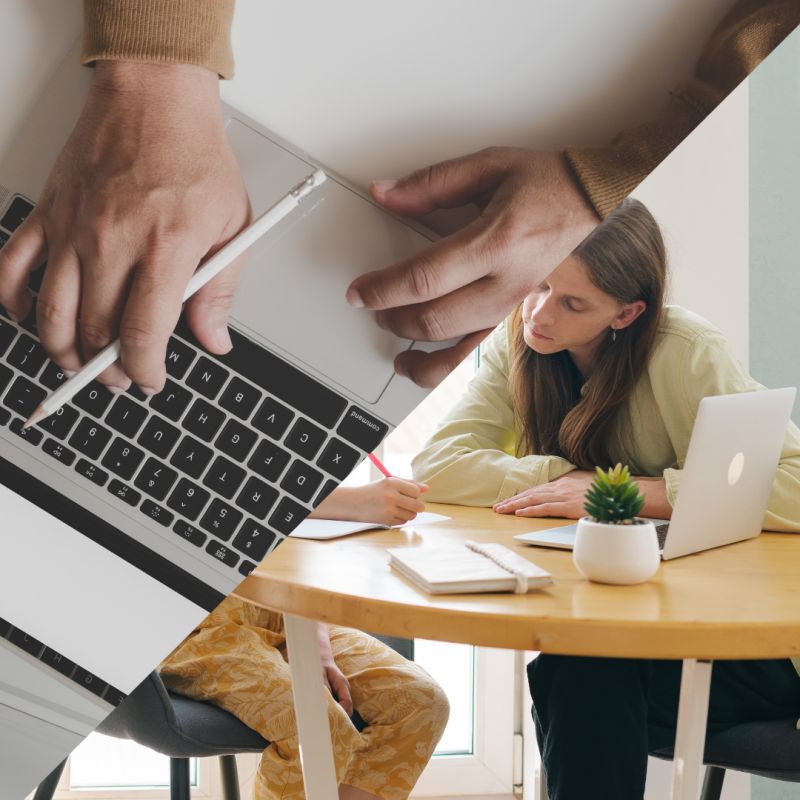 Algarianna Arianna Gardella Github - Sunset Illustration Collection - Ultra HD Quality