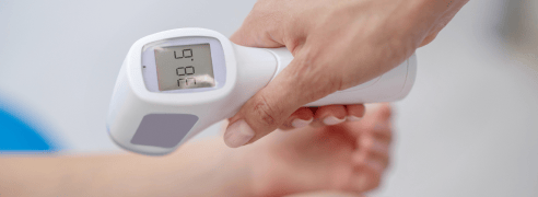 Handheld Digital Thermometer