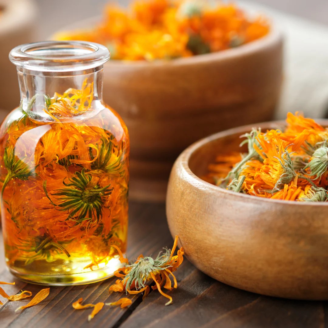 Calendula Oil Is A Natural Oil Extracted From Marigold Flowers