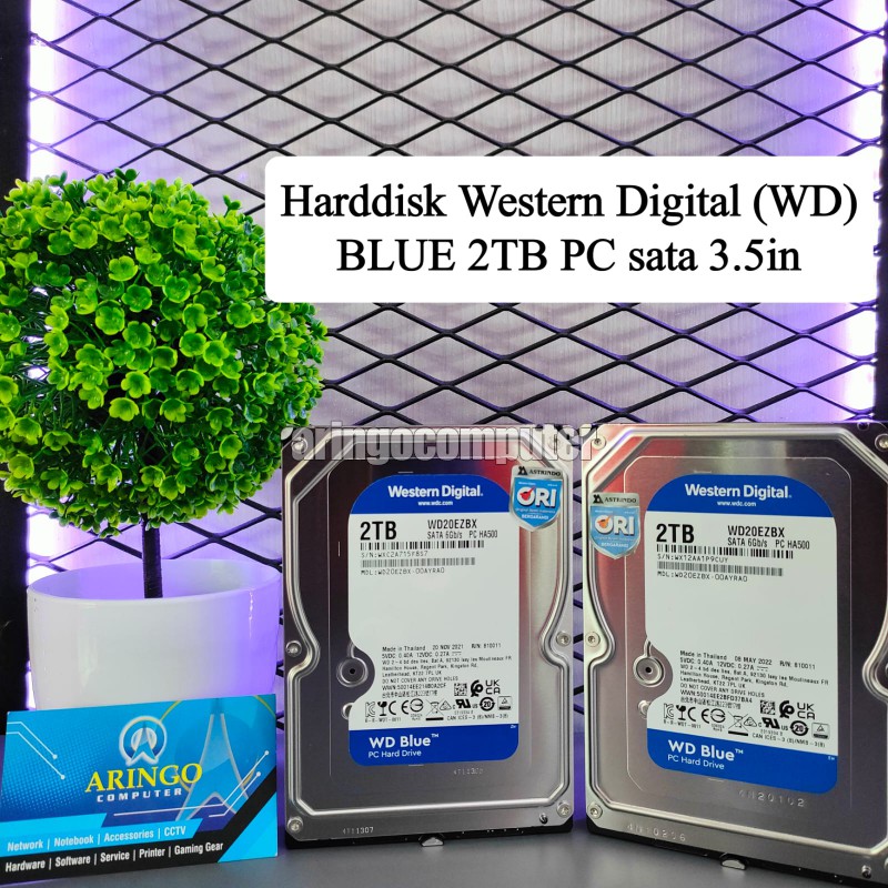 Cattalog Wdmax 22mb - Minimal Photo Collection - 4K Quality