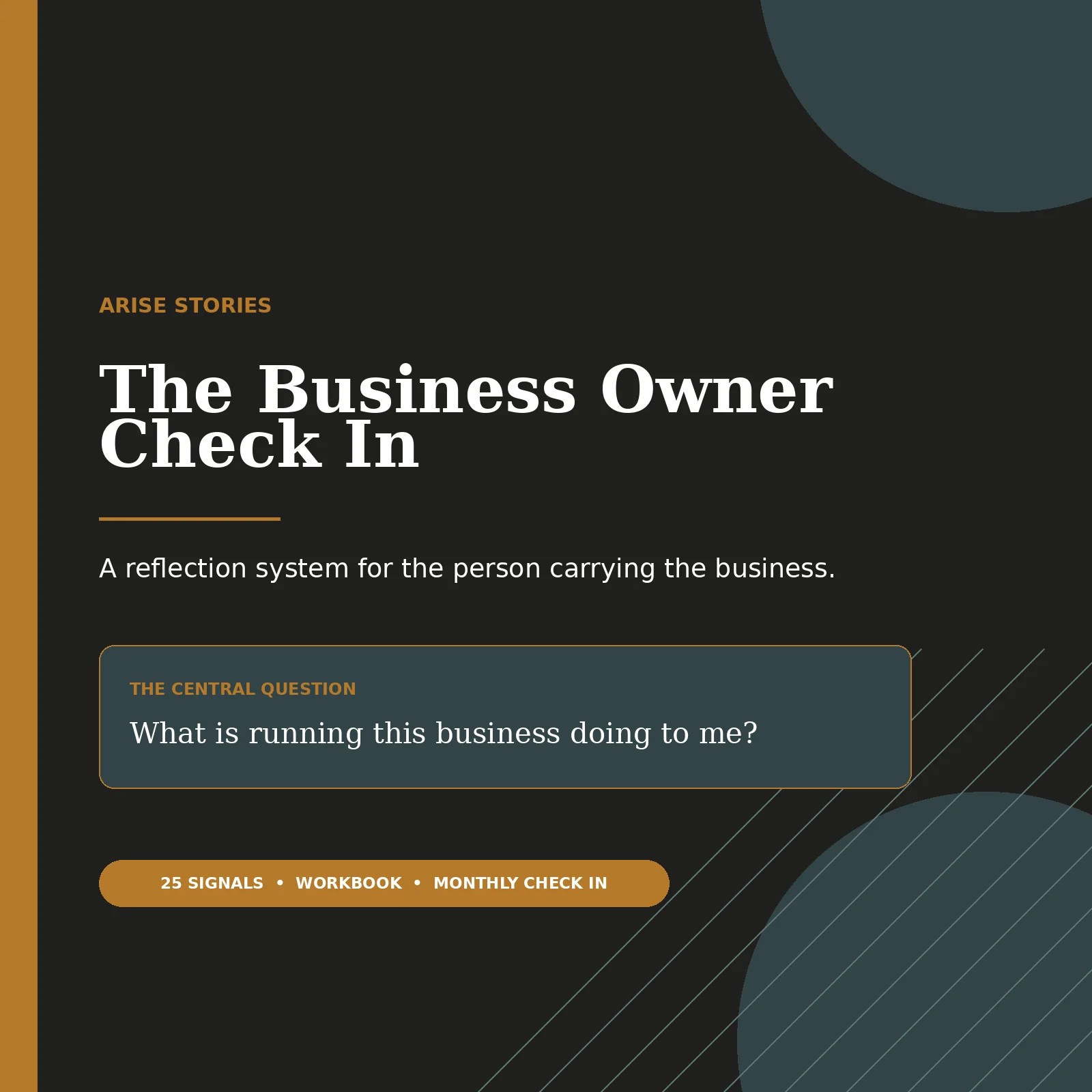 The Business Owner Check In