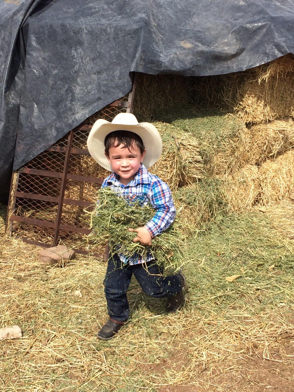 Sam Garcia's son helping at the ranch.