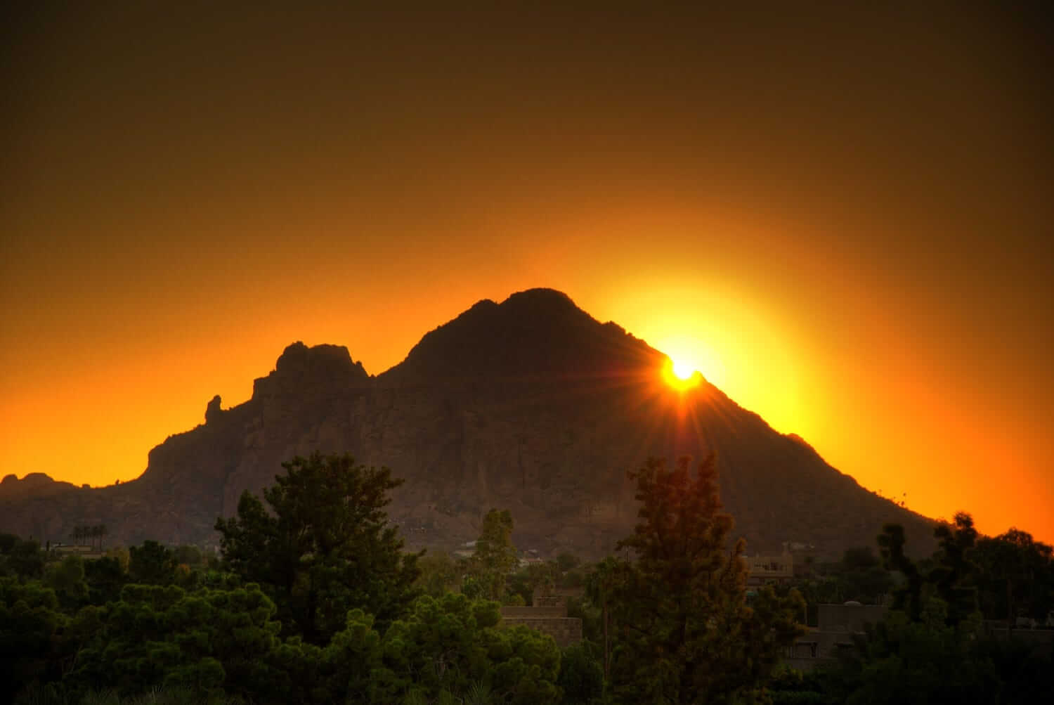 camelback