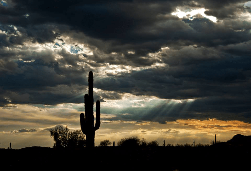 Aby Rouhi | Apache Junction