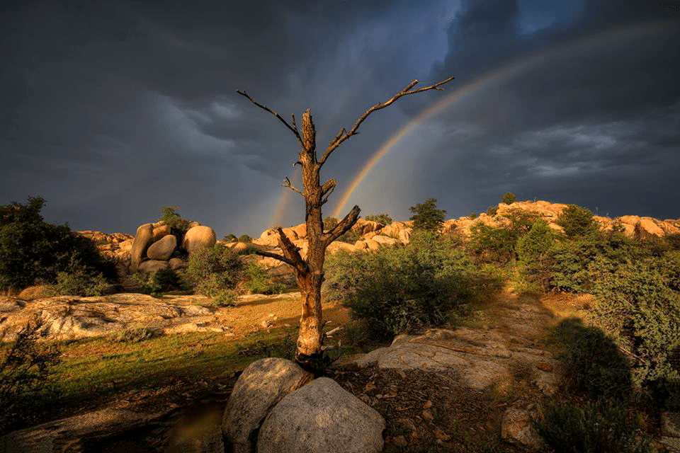 Bob Larson | Prescott