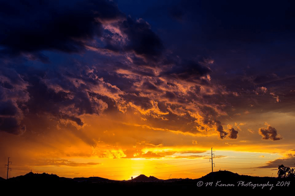 Michael Kenan | Phoenix
