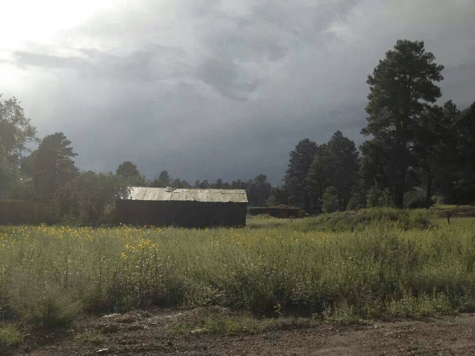 Sarah Mayhew | Mount Elden