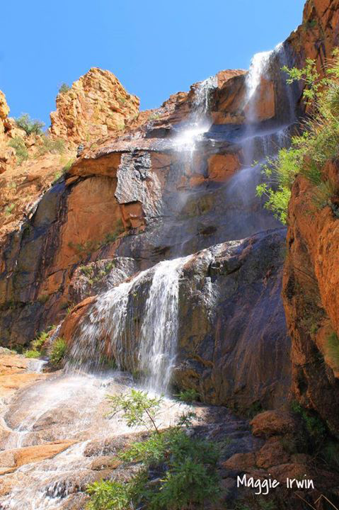 Maggie Irwin | Bisbee