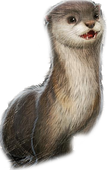 Grosshandel Nette Schlafende Otter Die Kinderunisex Weisses T Shirt Xs Xl Grosse Discout Heisse Neue T Shirtoberseite Zeichnen Freies Verschiffen T Shirt Zeichnen Von Upcup 13 46 Auf De Dhgate Com Dhgate