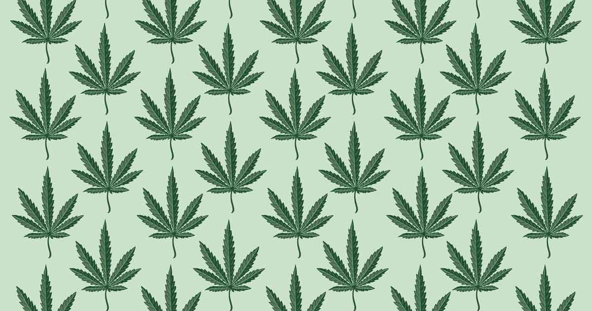 arktimes.com - Amanda Watford for Arkansas Advocate - The feds have embraced medical marijuana. Now what?