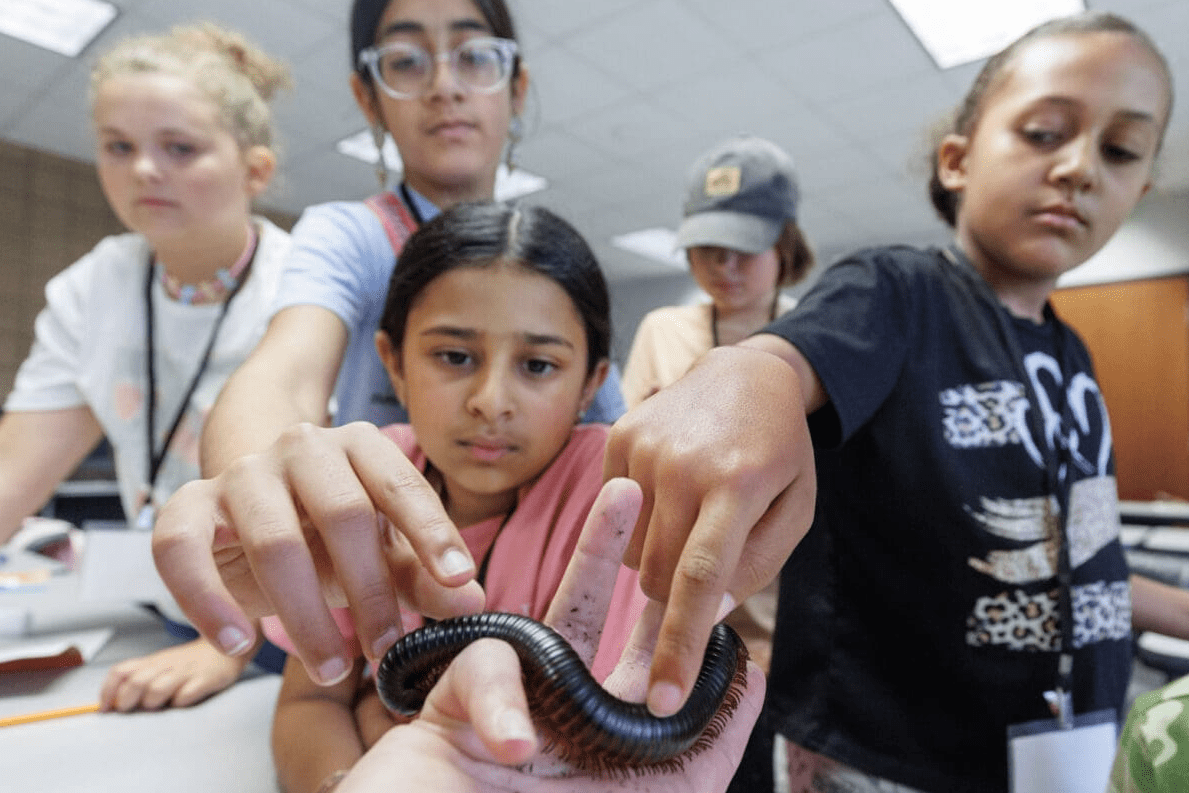 UA Little Rock Hosts 2026 Summer Camps