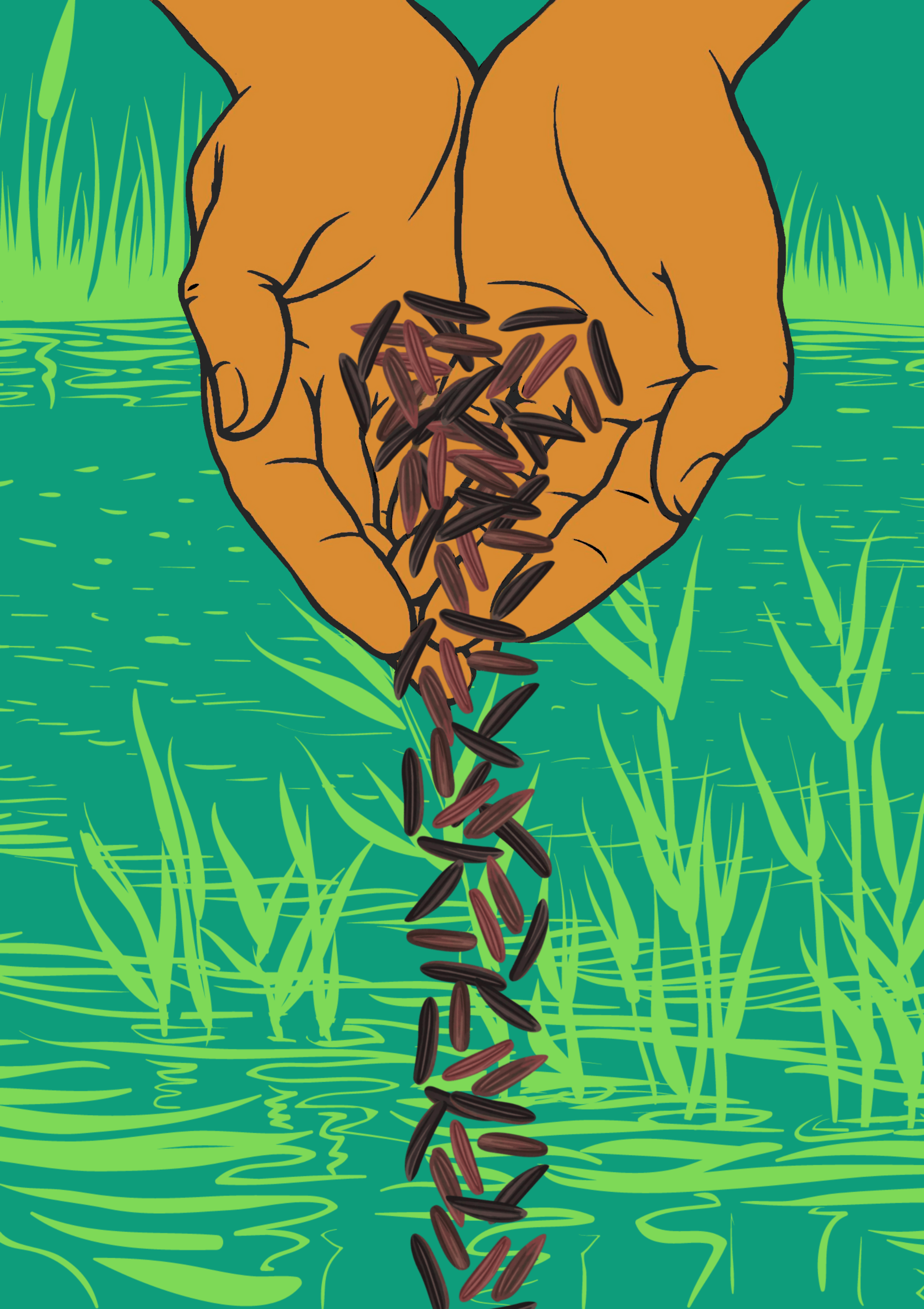 Manomin Book Cover University of Manitoba Press