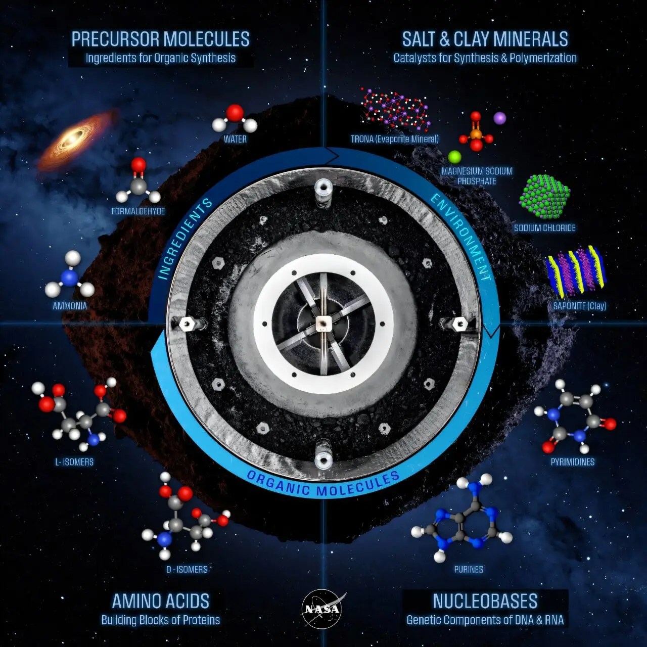 NASA infographic illustrating the organic chemistry discovered on asteroid Bennu. The central circular sample container represents Bennu material surrounded by labeled regions: Precursor Molecules (water, formaldehyde, ammonia) at the top left, Salt & Clay Minerals (trona, magnesium sodium phosphate, sodium chloride, saponite) at the top right, Amino Acids (L-isomers and D-isomers, the building blocks of proteins) at the bottom left, and Nucleobases (purines and pyrimidines, genetic components of DNA and RNA) at the bottom right. The outer blue ring connects “Ingredients,” “Environment,” and “Organic Molecules,” showing how these components may have supported prebiotic chemistry on Bennu. NASA logo at the bottom center.