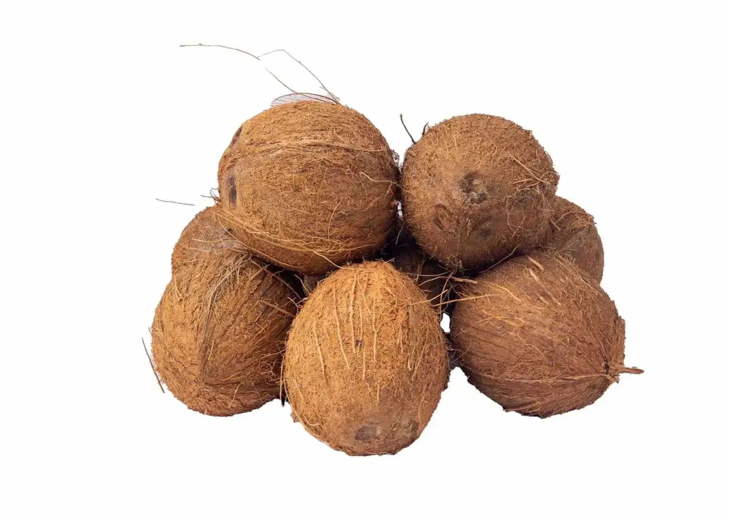 coconut.webp