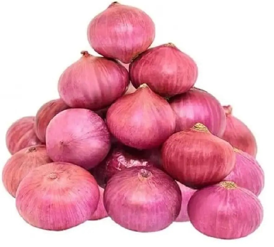 onions.webp