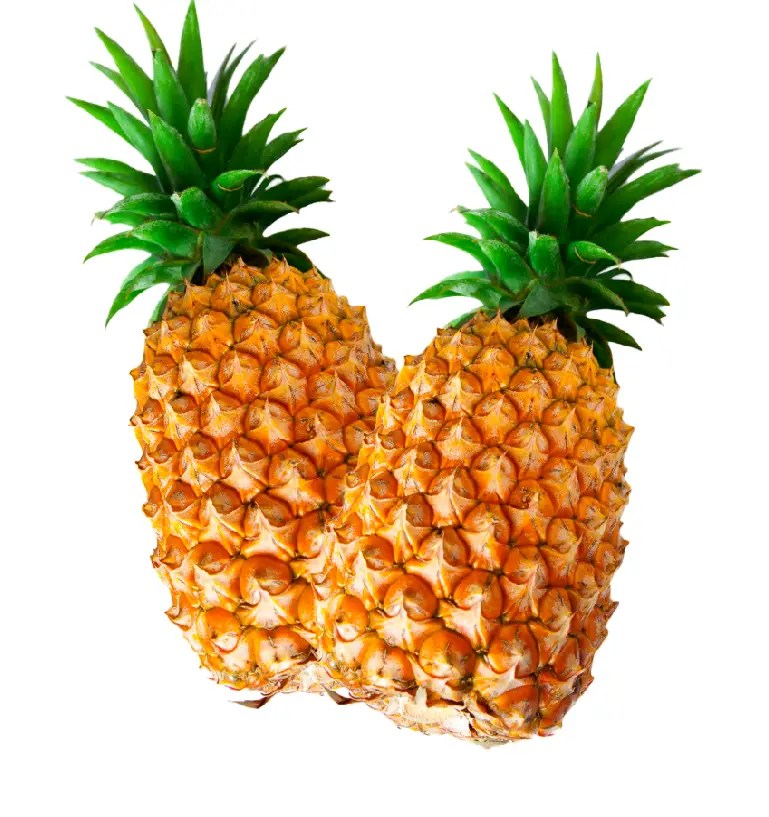 pineapple.webp