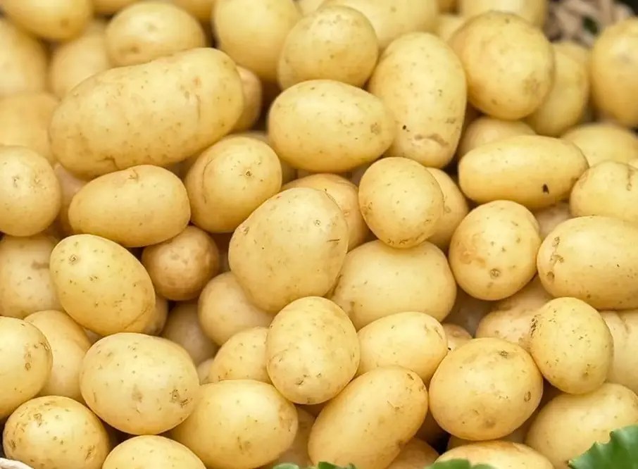 potatoes.webp