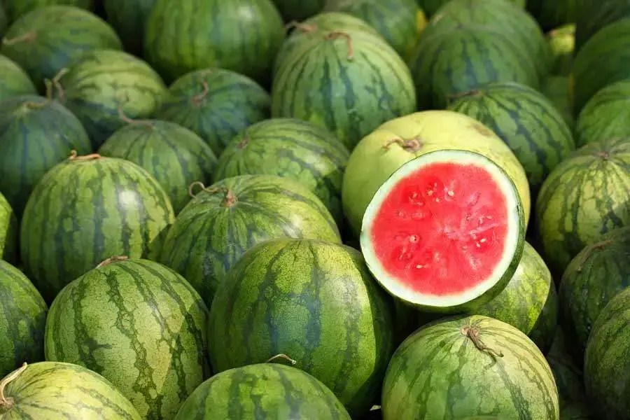 watermelon.webp