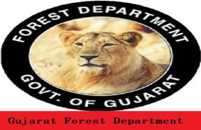 Armed Security Guard Labour Services