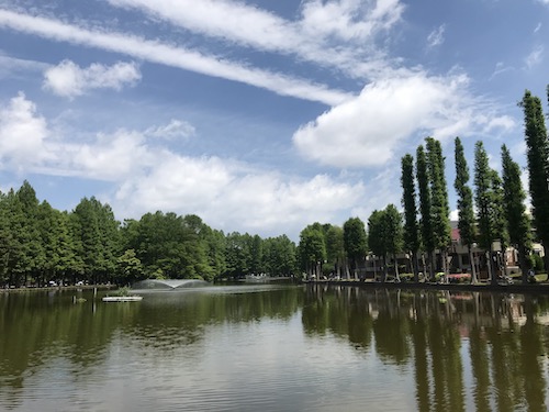 国会中継を聞きながら走る