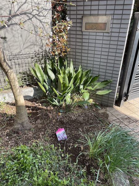 ハラン株を小さくする