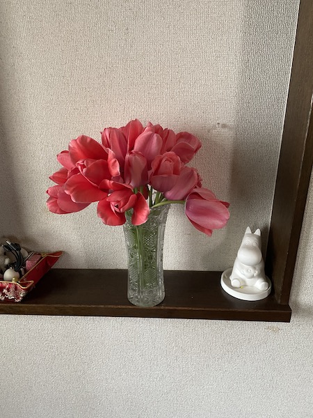 満開のチューリップ