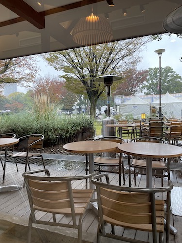 新しい友達との逢瀬