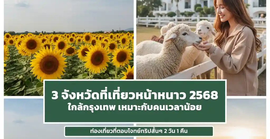 3 จังหวัดที่เที่ยวหน้าหนาว 2568