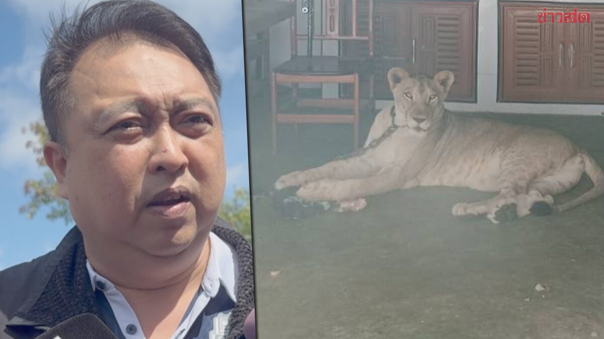 รมต.สุชาติ สั่งดำเนินคดีเด็ดขาด เจ้าของสิงโต หลุดทำร้ายเด็ก สั่งยึด-ส่งไปบึงฉวาก