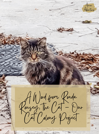 Cat Colony Project