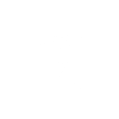 Virgin Voyages logo