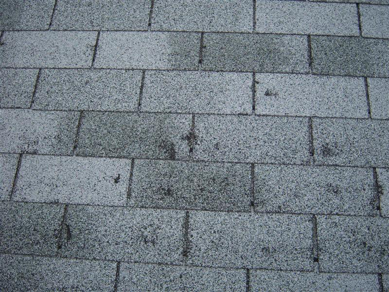 arnett storm damage repair