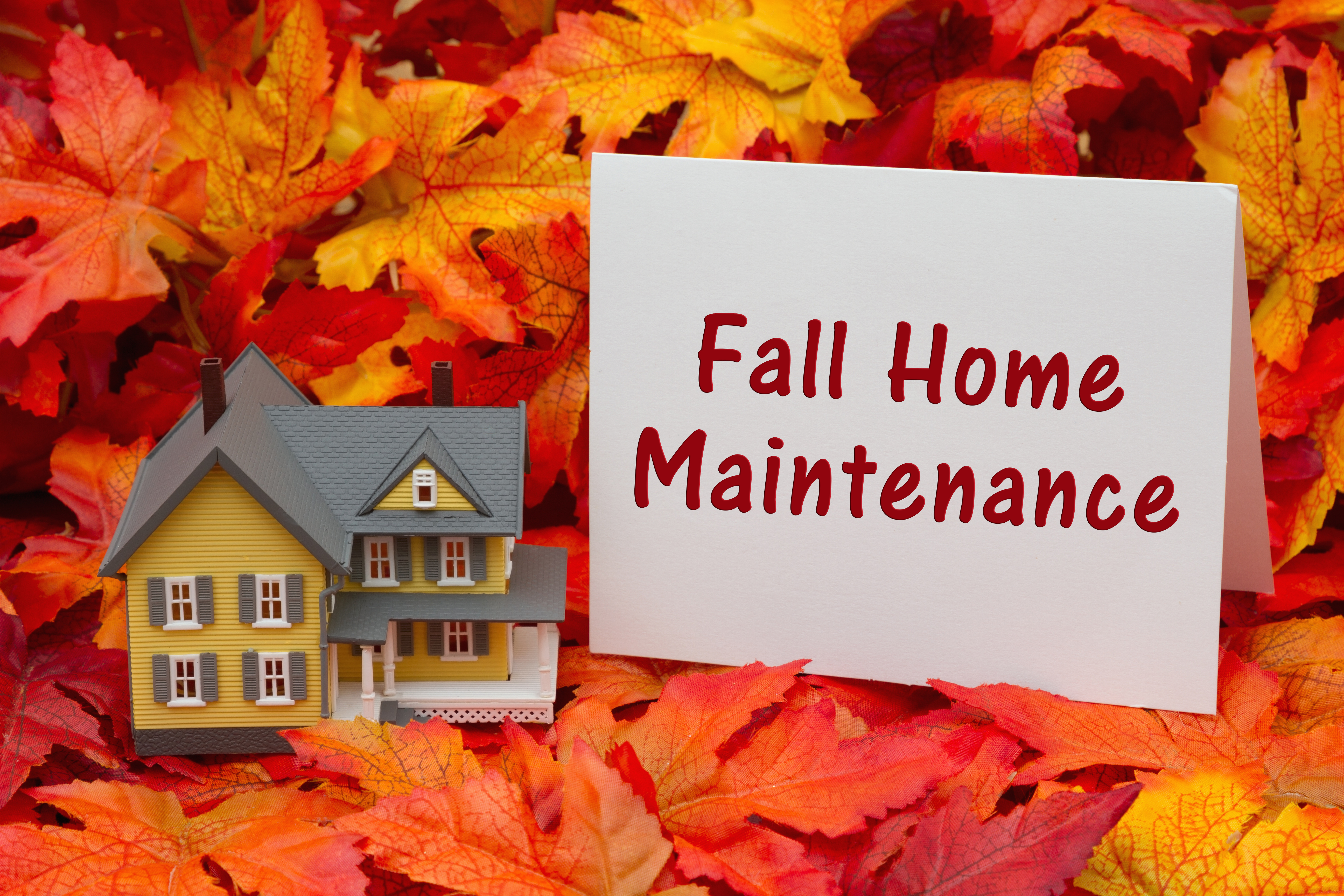 Fall Roof Maintenance