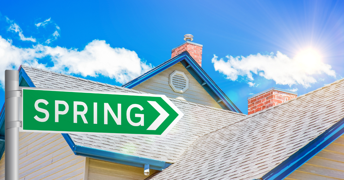 Inspecting Your Roof for the Spring
