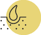 icon_Skin-Health