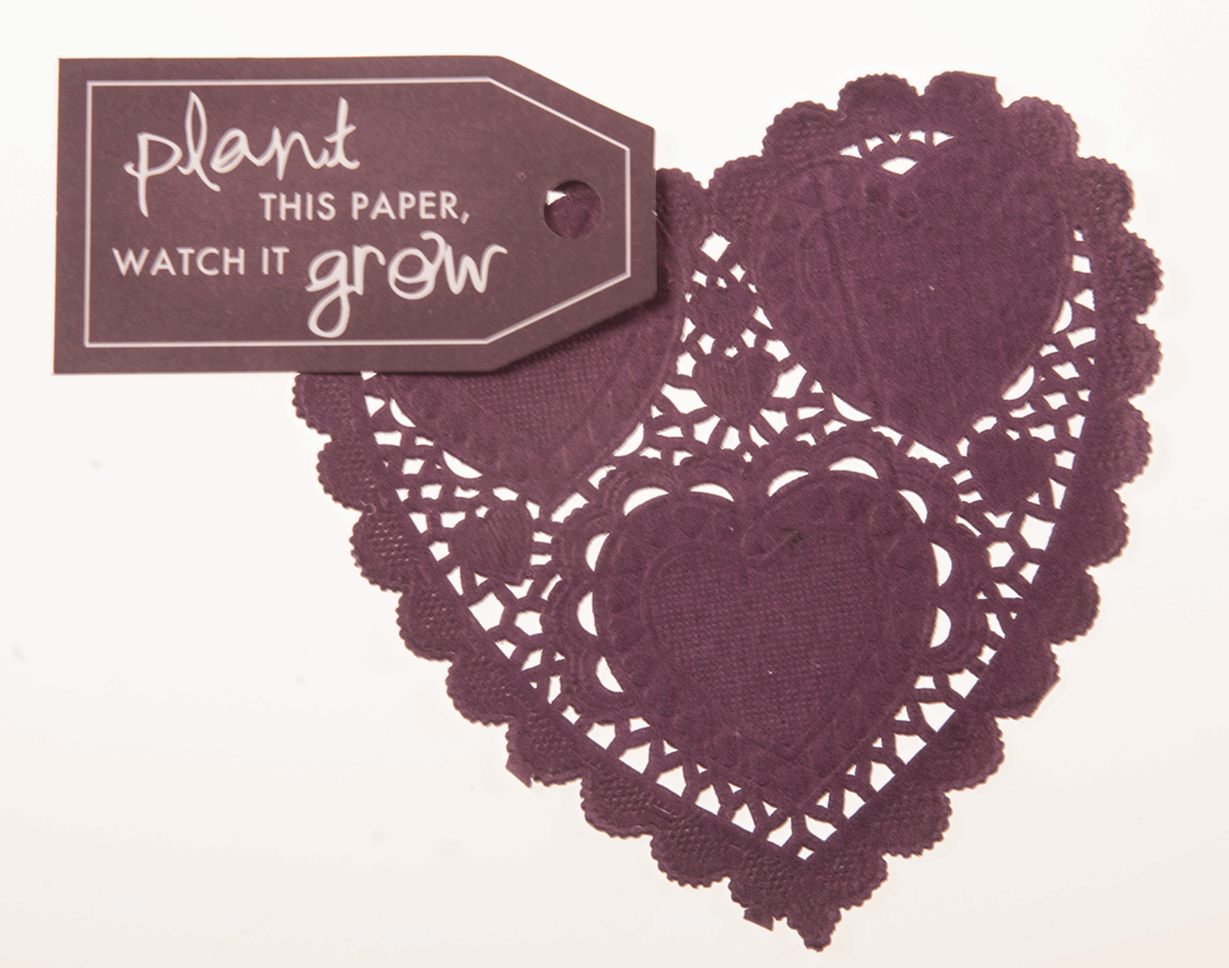 HEART DOILIES & SEED PAPER PLANTING TAGS 12 PK (4 EA: WINE, PLUM, OLIVE) ·  Arnold Grummer's Paper Making