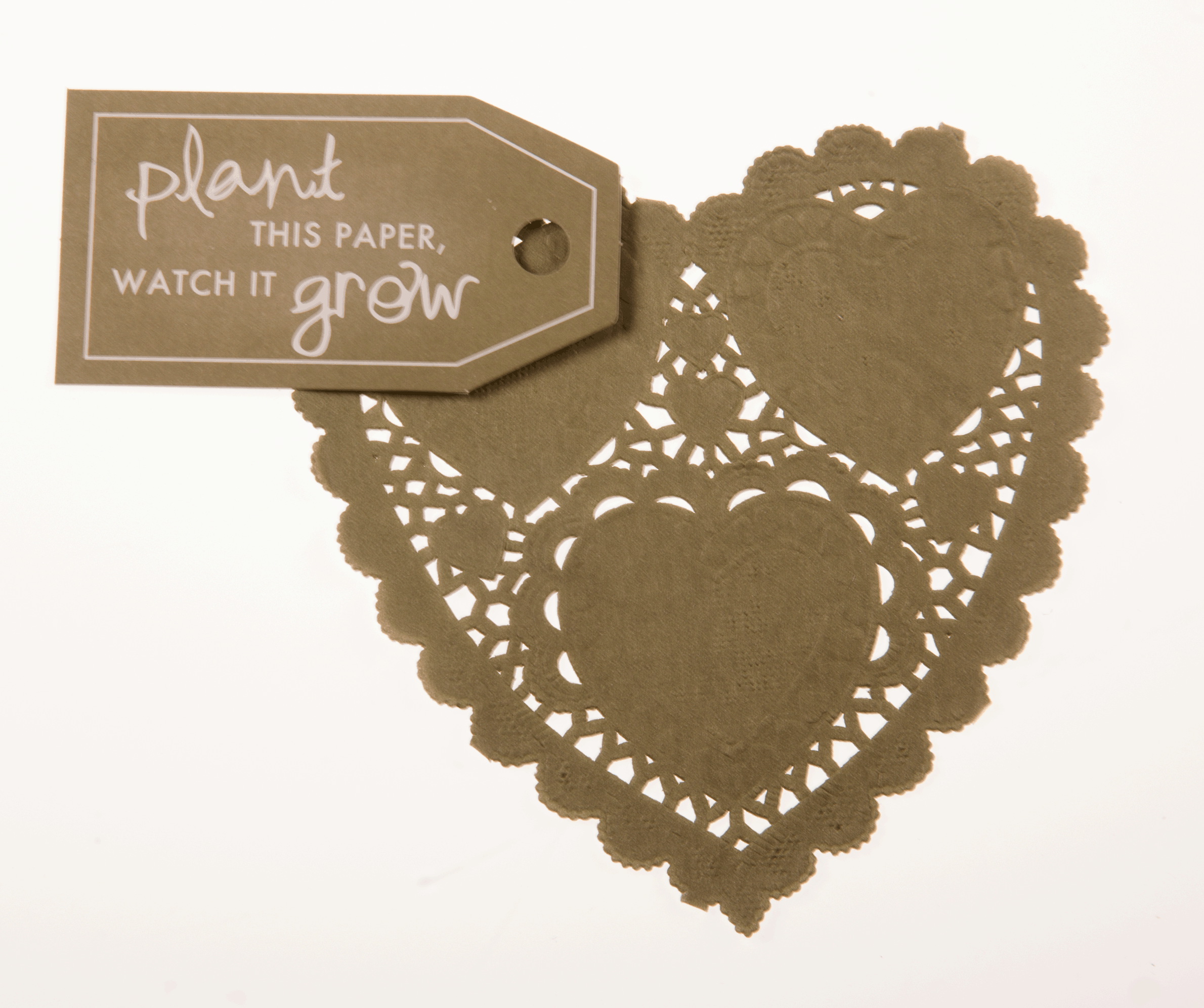 Heart Shaped Seed Paper, Memorial Products