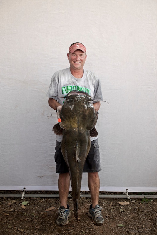 noodling Arnold Zwicky's Blog