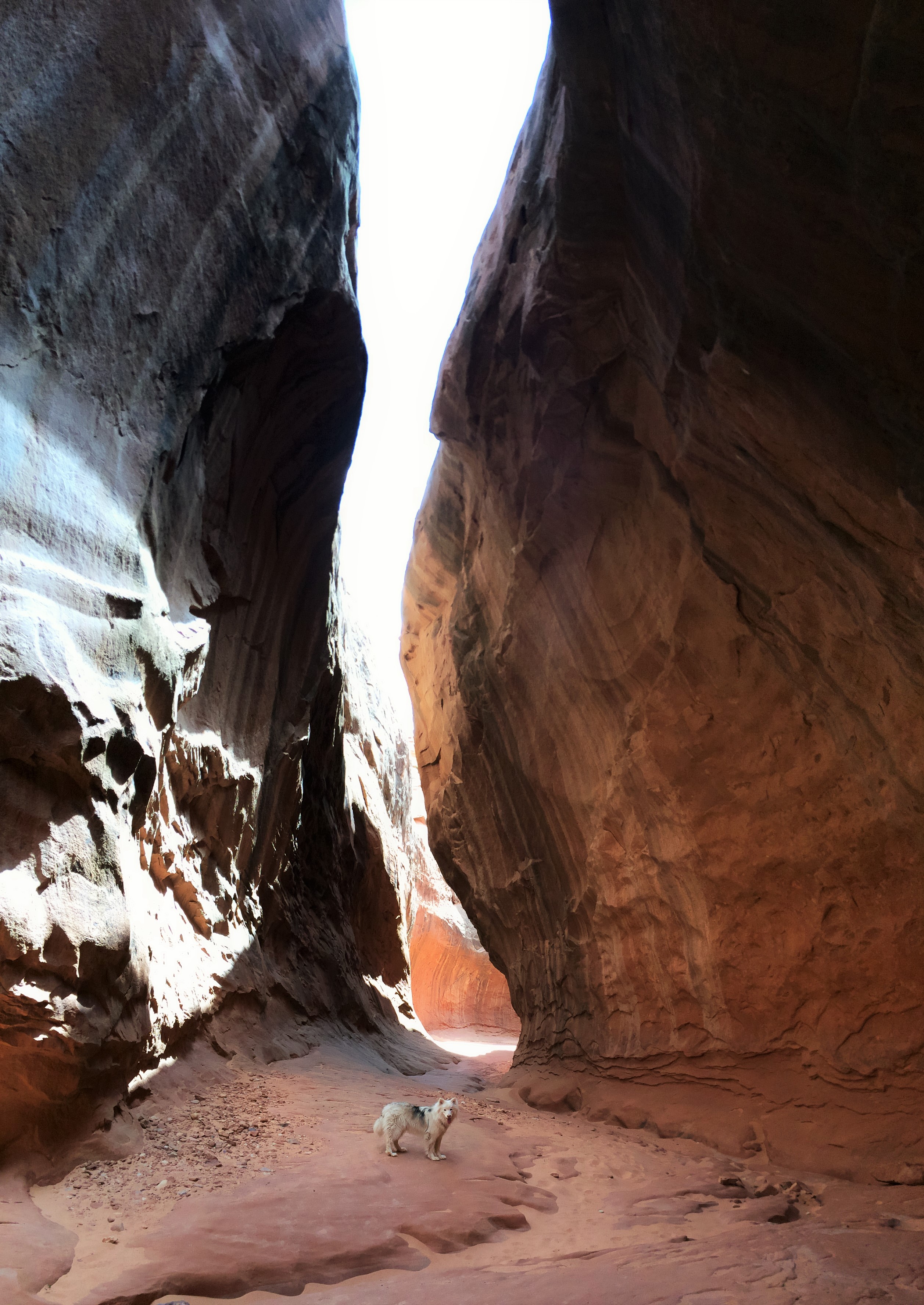 Leprechaun Canyon starts out tall and wide before the slots begin.