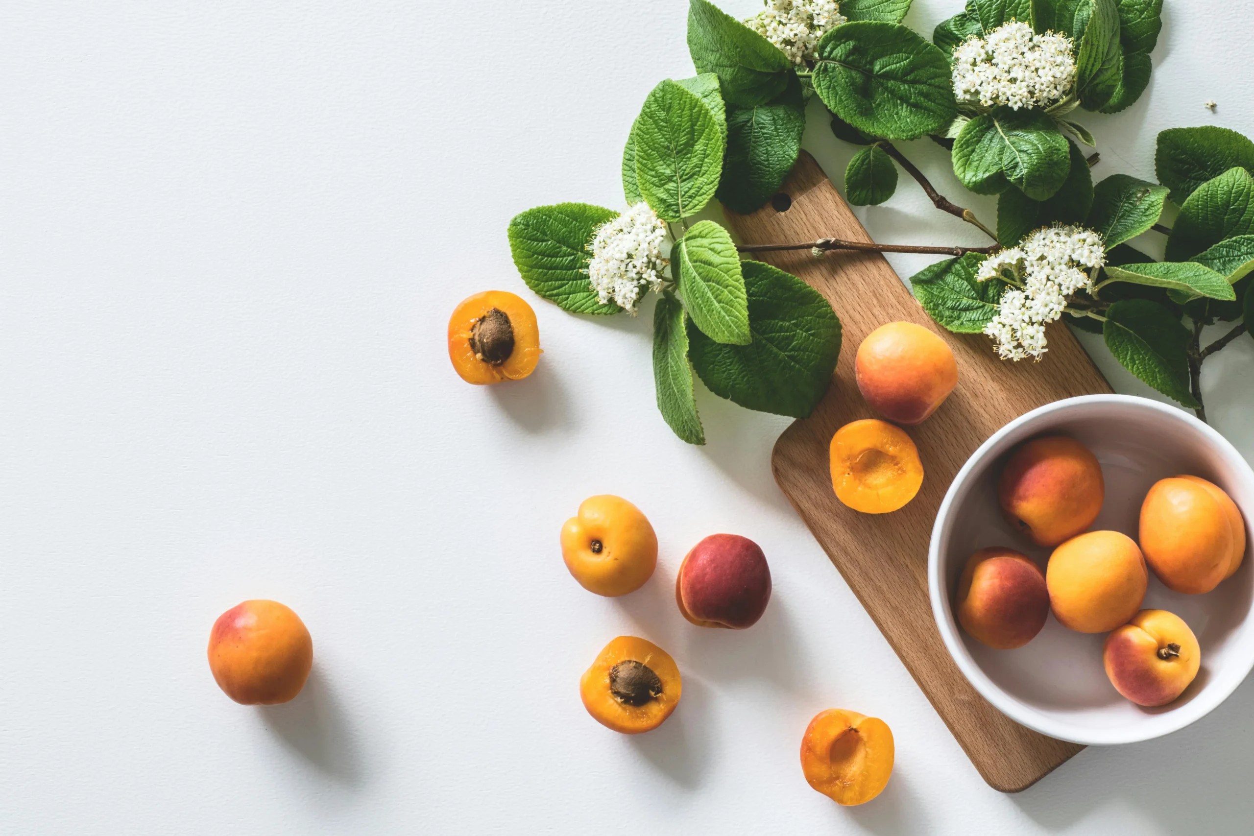 Best Foods For Gut Health