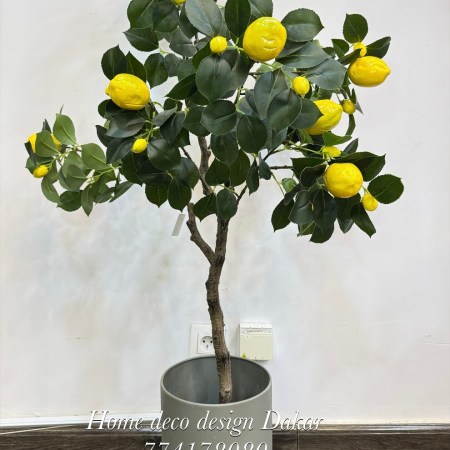 Plante citronnier 130cm