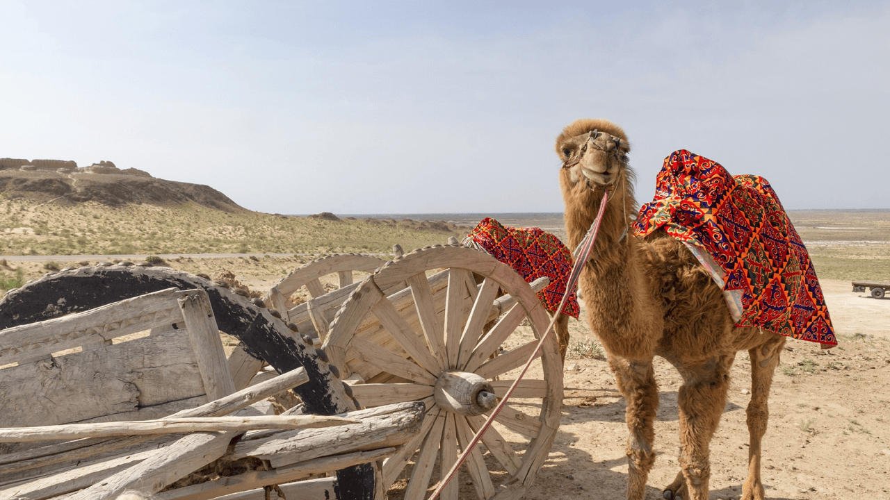 Off-road journey to the Aral Sea — discover desert landscapes, Muynak’s ship graveyard and Karakalpakstan culture in a yurt camp Путешествие на внедорожнике к Аральскому морю — открытие пустынных ландшафтов, кладбища кораблей Муйнака и культуры Каракалпакстана в юртовом лагере